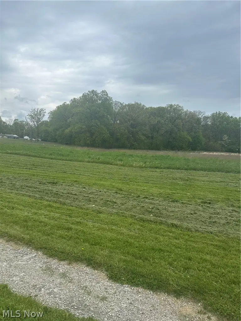 Maple Avenue, Austintown, OH 44515 - #1