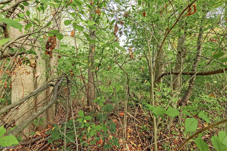 V/L Usher Road, Olmsted, OH 44138 - #3