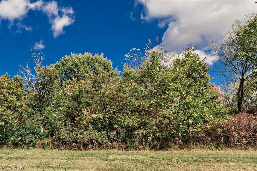 V/l Schady Road, Olmsted, OH 44138 - #2