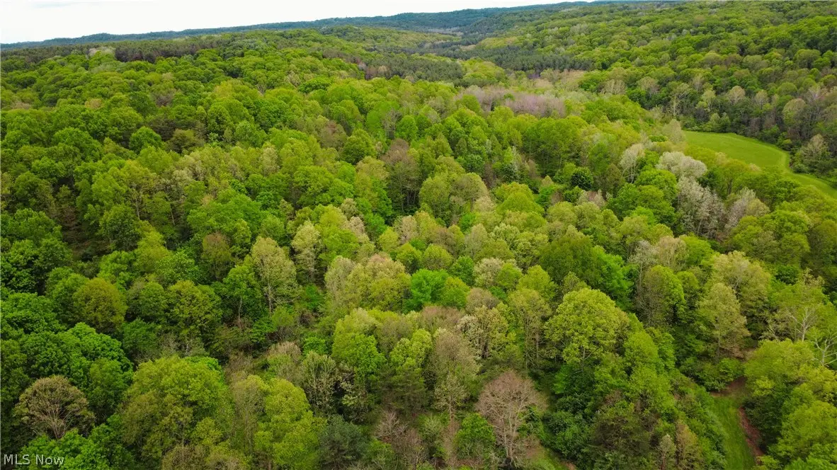 Morganville Rd Road, Corning, OH 43730 - #1