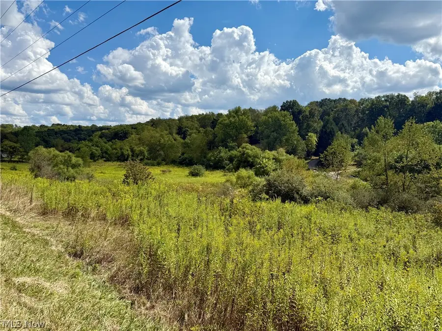 Aster Road, Carrollton, OH 44615 - #2