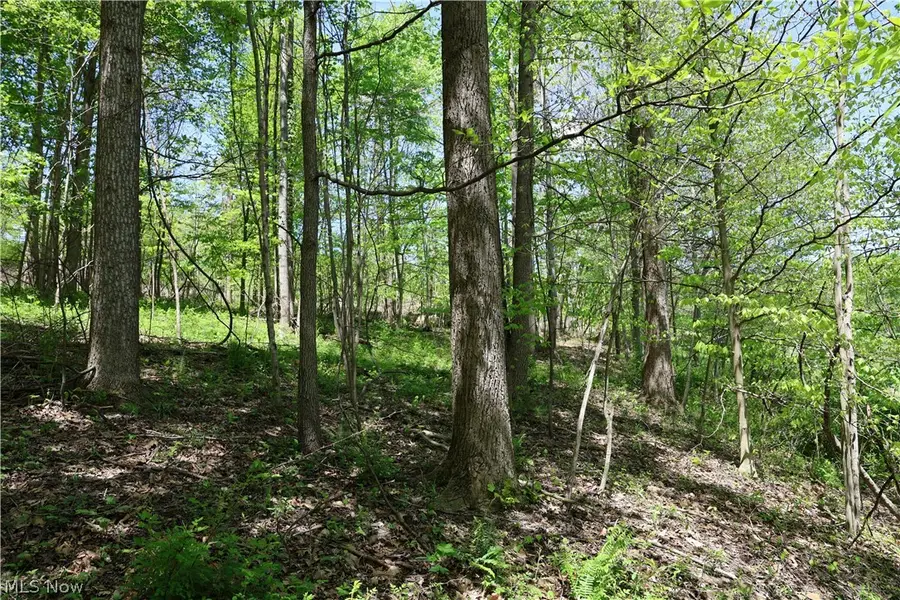 County Road 33, Warsaw, OH 43844 - #3