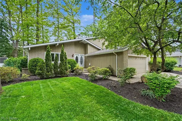 6536 Duneden Avenue, Solon, OH 44139