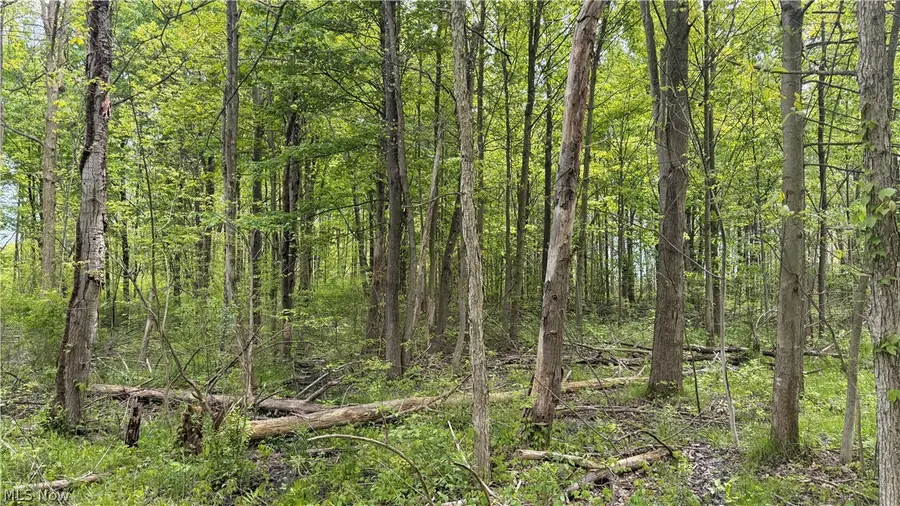 Youngstown Kingsville Road, Vienna, OH 44473 - #2