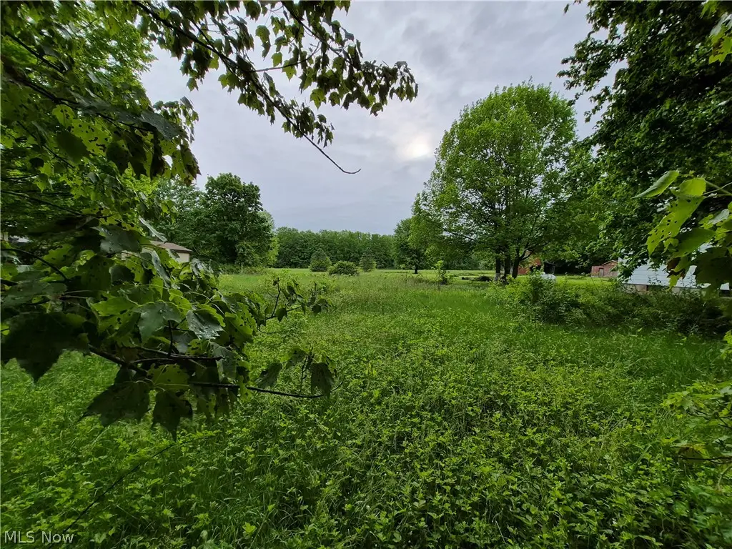 Newell Ledge Road, Garrettsville, OH 44231 - #1