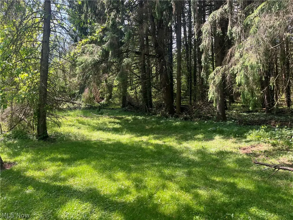 High Mill Nw Avenue, Clinton, OH 44216 - #1