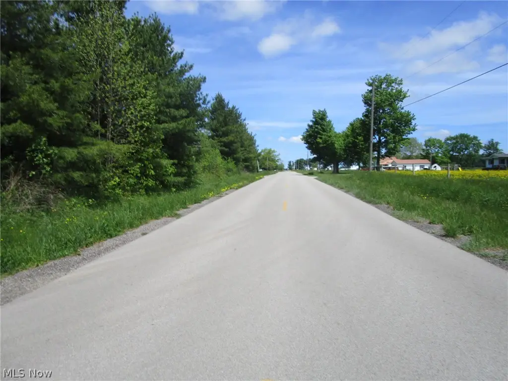 VL Doyle Road, Jefferson, OH 44047 - #1
