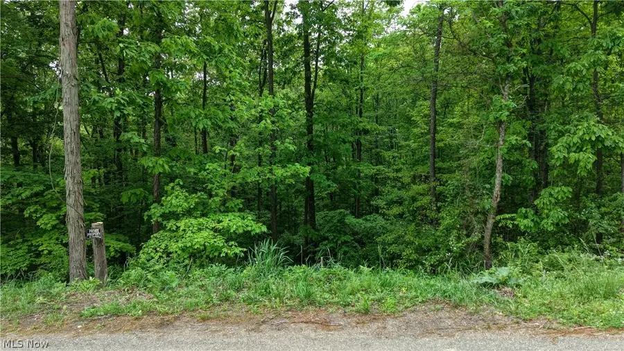 Tatman Road, Uhrichsville, OH 44683 - #2