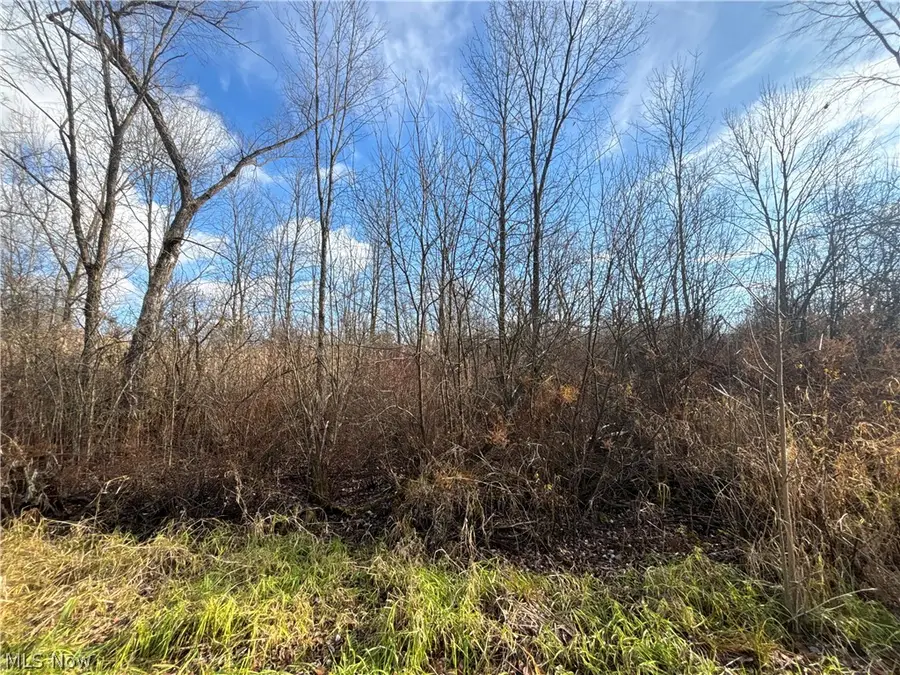 10785 Bell Road, Newbury, OH 44065 - #3
