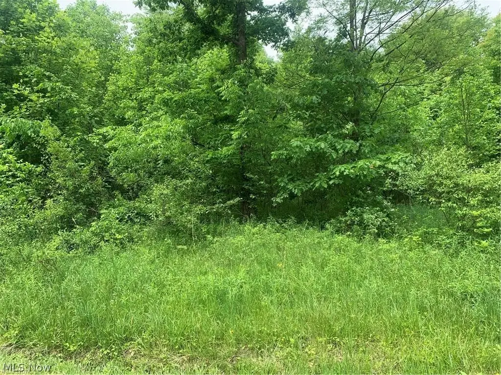 Pinney Topper Road, Ashtabula, OH 44004 - #1