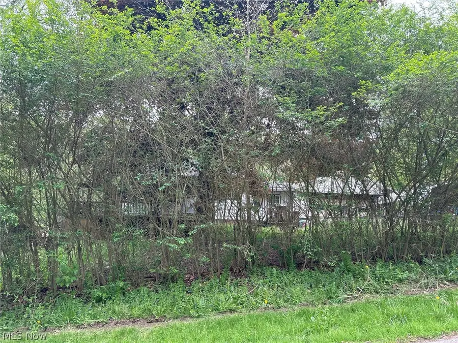 6604 Mapleton Se Street, East Canton, OH 44730 - #3