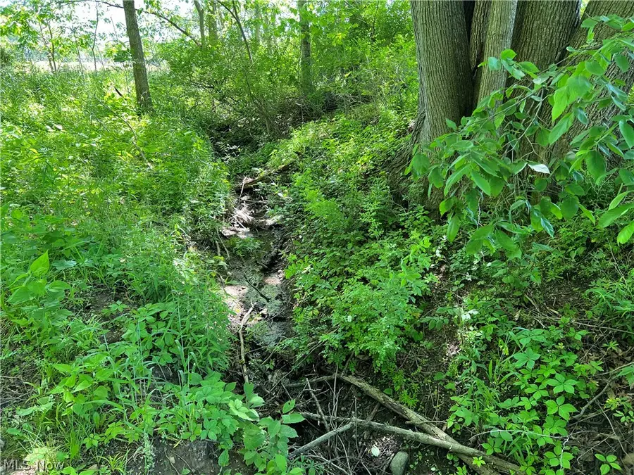 Shaw Road, Spencer, OH 44275 - #2