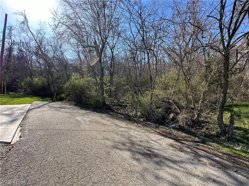 Cliffside Avenue, Parkersburg, WV 26101 - #1