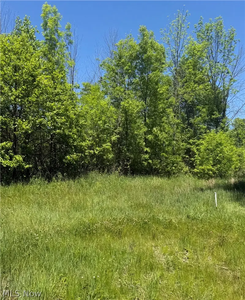 Thornberry Drive, North Lima, OH 44452 - #1