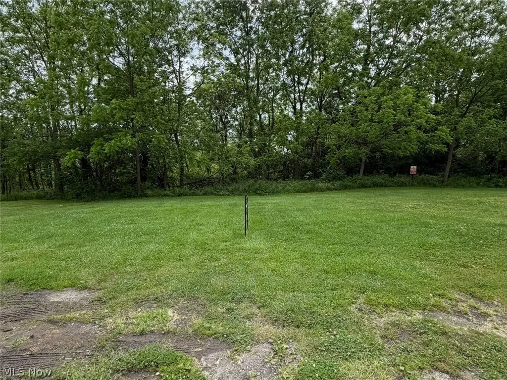 Victoria Street, Youngstown, OH 44510 - #1