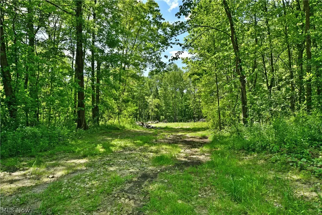 Mahan Denman Road, Bristolville, OH 44402 - #1