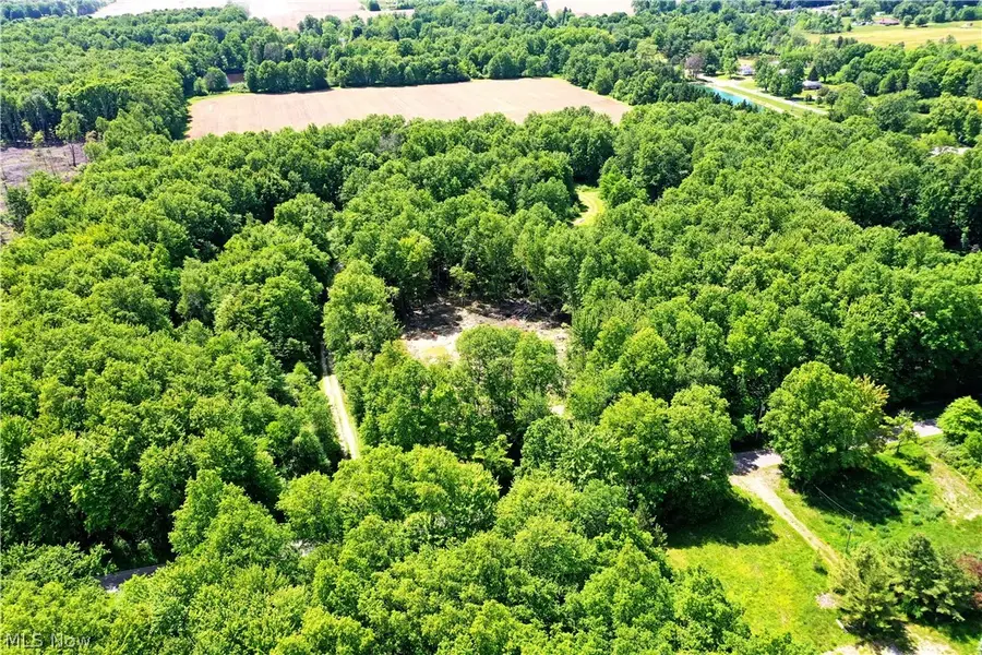 Mahan Denman Road, Bristolville, OH 44402 - #3