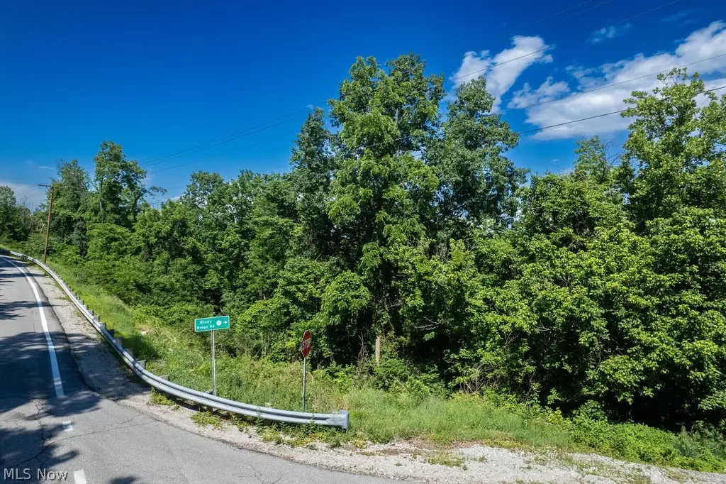 0 Windy Ridge Road, Elizabeth, WV 26143 - #1