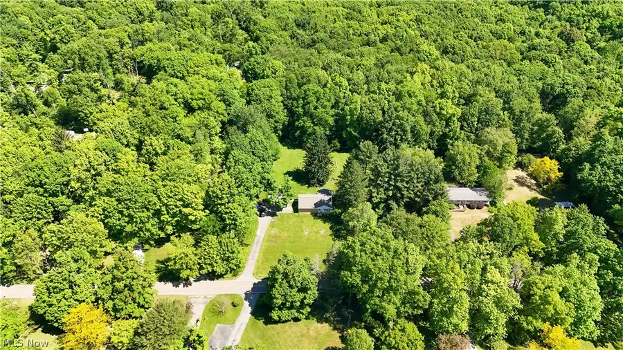 9621 Wolfe Road, Windham, OH 44288 - #3