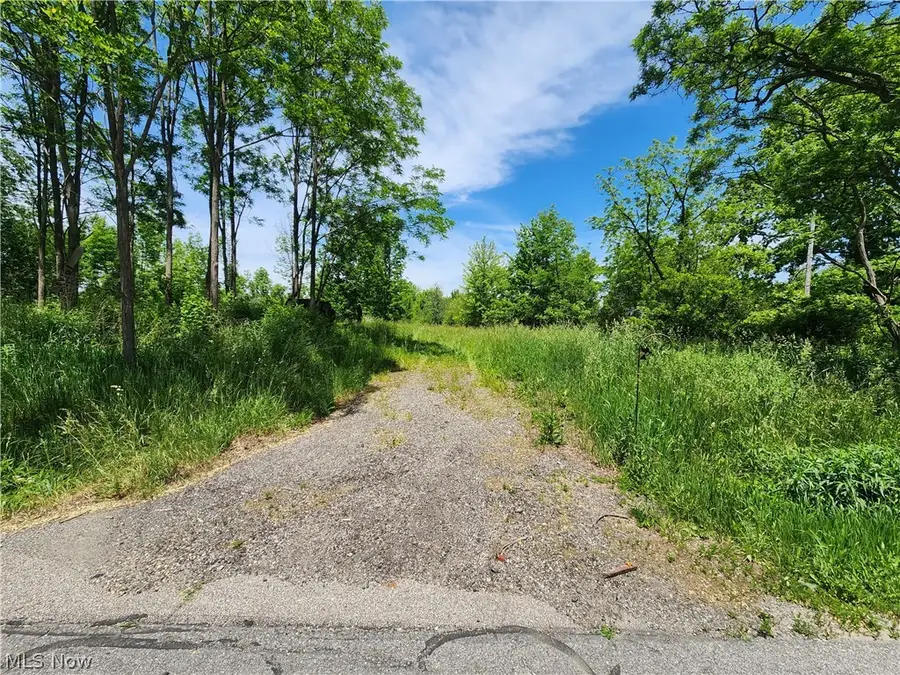 14161 Painesville Warren Road, Painesville, OH 44077 - #2