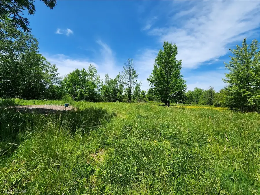 14161 Painesville Warren Road, Painesville, OH 44077 - #3