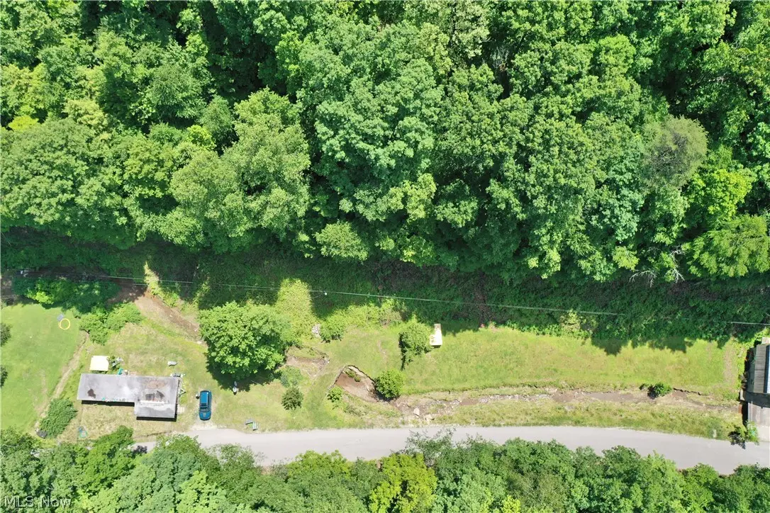 652 Dennis Fork Road, Mount Zion, WV 26151 - #1