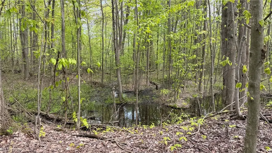 Munson Hill Road, Ashtabula, OH 44004 - #2