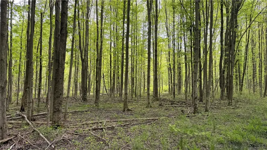 Munson Hill Road, Ashtabula, OH 44004 - #2