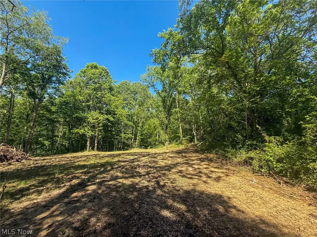 St Rt 555, Chesterhill, OH 43728 - #1