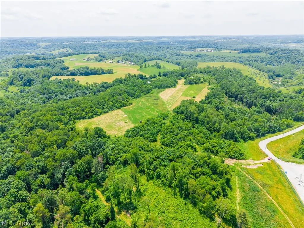 72645 Henderson Ridge Road, Saint Clairsville, OH 43950 - #1