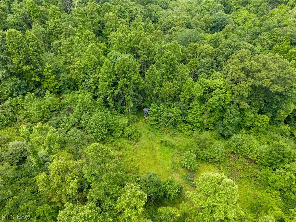 Kinnen Road, Caldwell, OH 43724 - #1