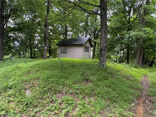 0 Township Rd 13, Sardis, OH 43946