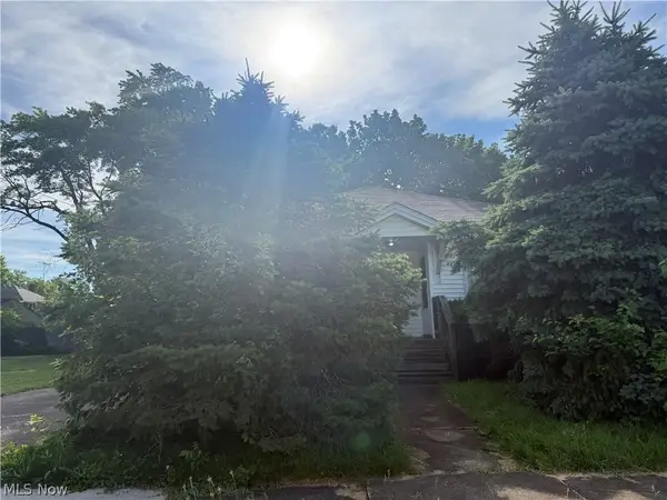 407 Sheridan Avenue, Niles, OH 44446