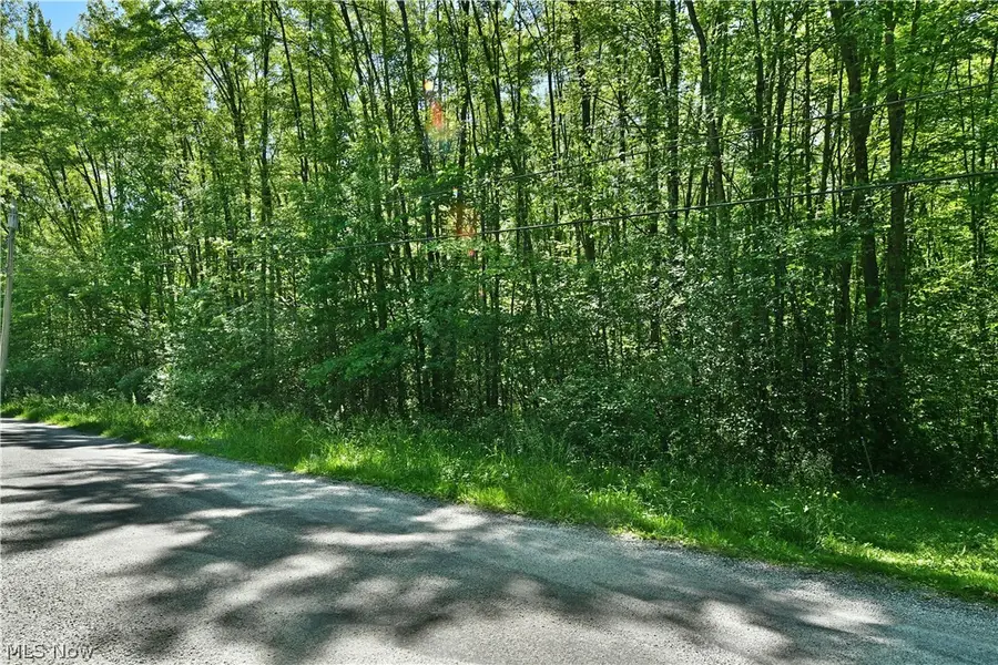 Airport Nw Road, Warren, OH 44481 - #3