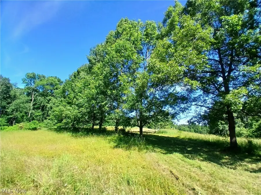868 Township Road 278, Bergholz, OH 43908 - #3