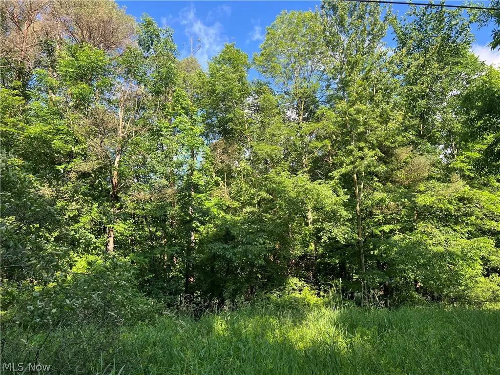 State Line Road, Monroe, OH 44082 - #1