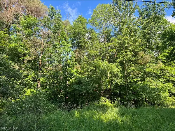 State Line Road, Conneaut, OH 44082