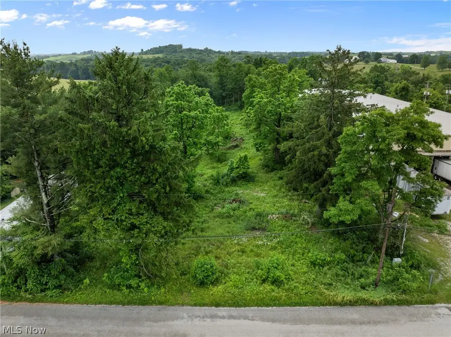 41310 Brown Road, Bethesda, OH 43719 - #2