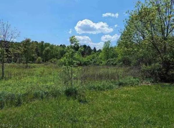 0 Ridgewood Road, Medina, OH 44281