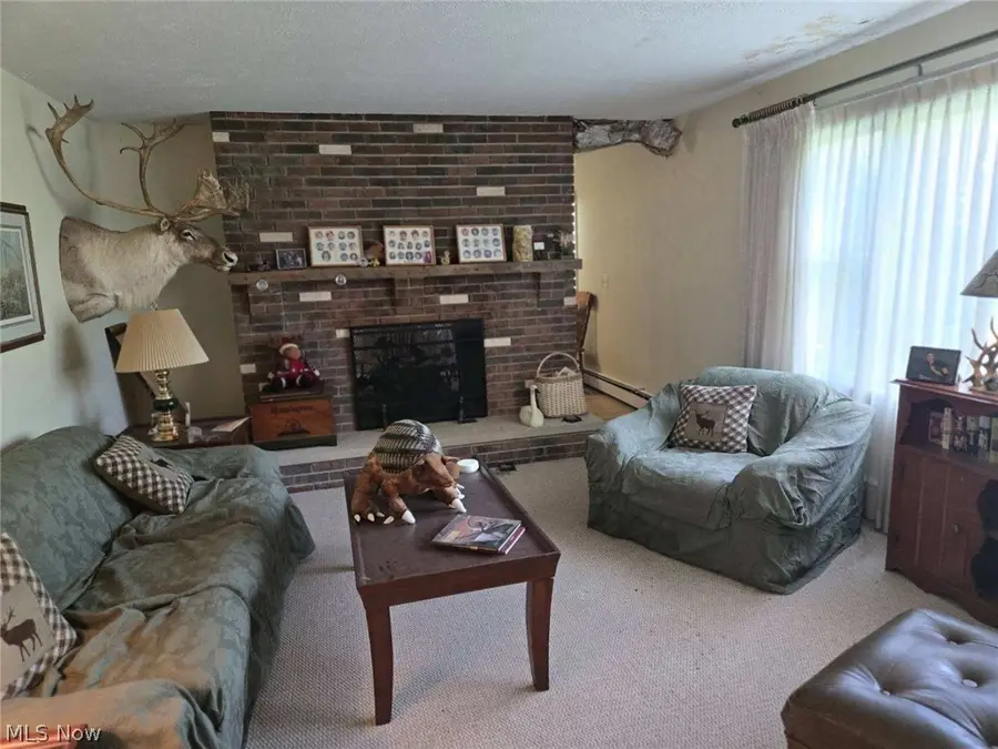 11785 Pyle South Amherst Road, Oberlin, OH 44074 - #3