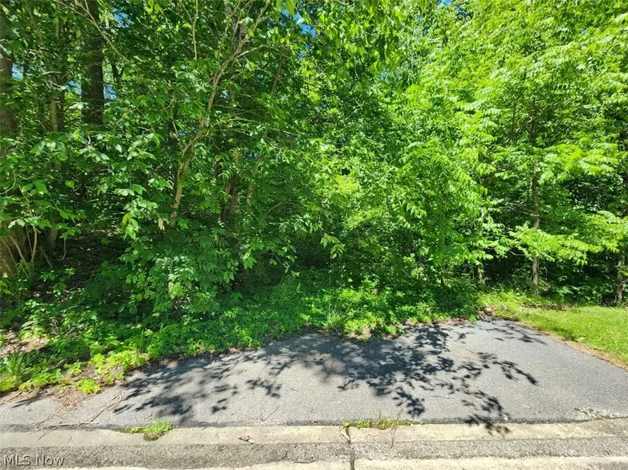 9610 Robinson Road, Chardon, OH 44024 - #2