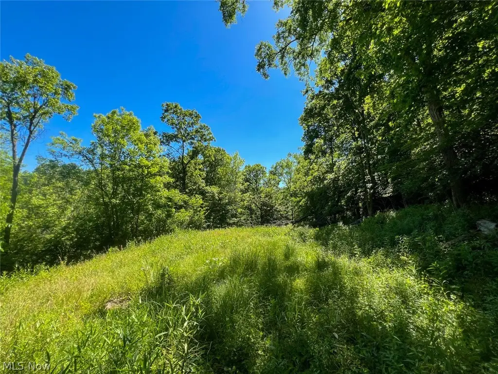 0 County Road 17, Rayland, OH 43943 - #1