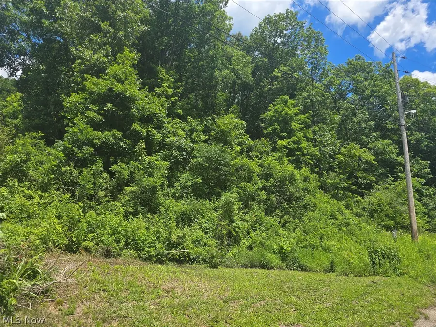 Hawks Road, Athens, OH 45701 - #3