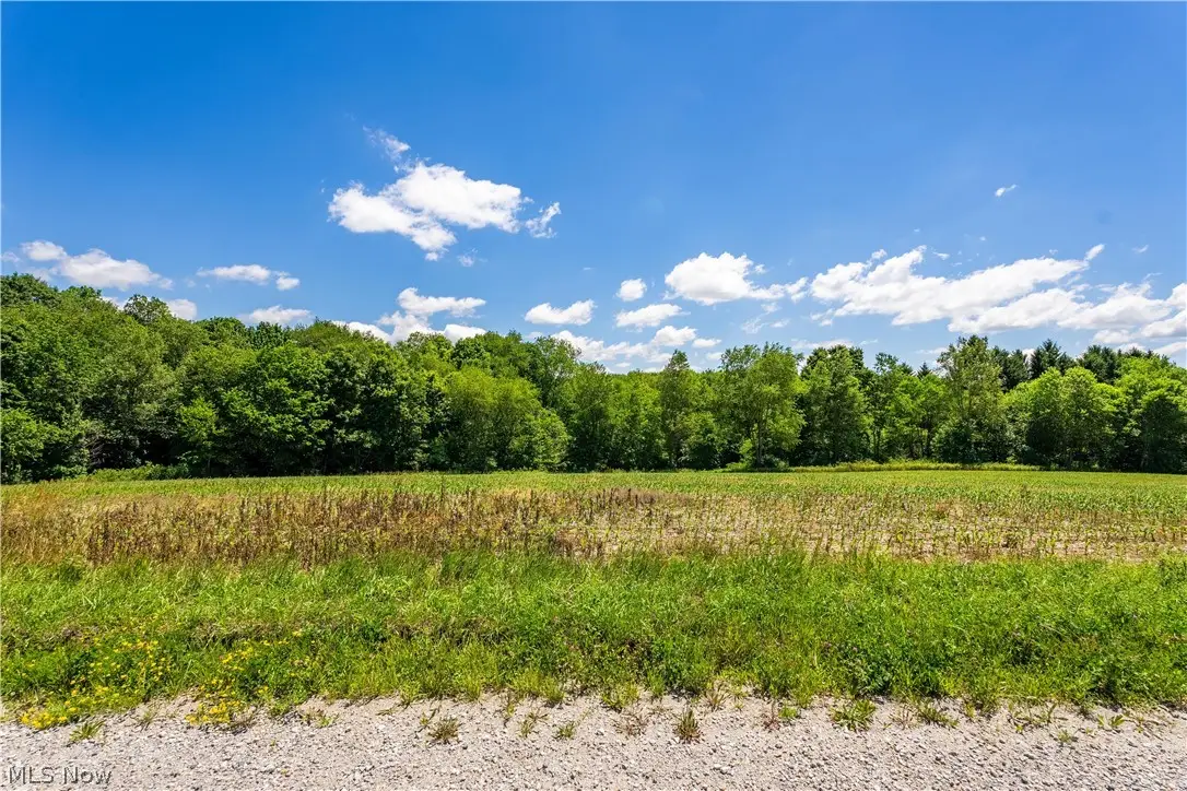 8008 Reef Ne Road, Mechanicstown, OH 44651 - #1