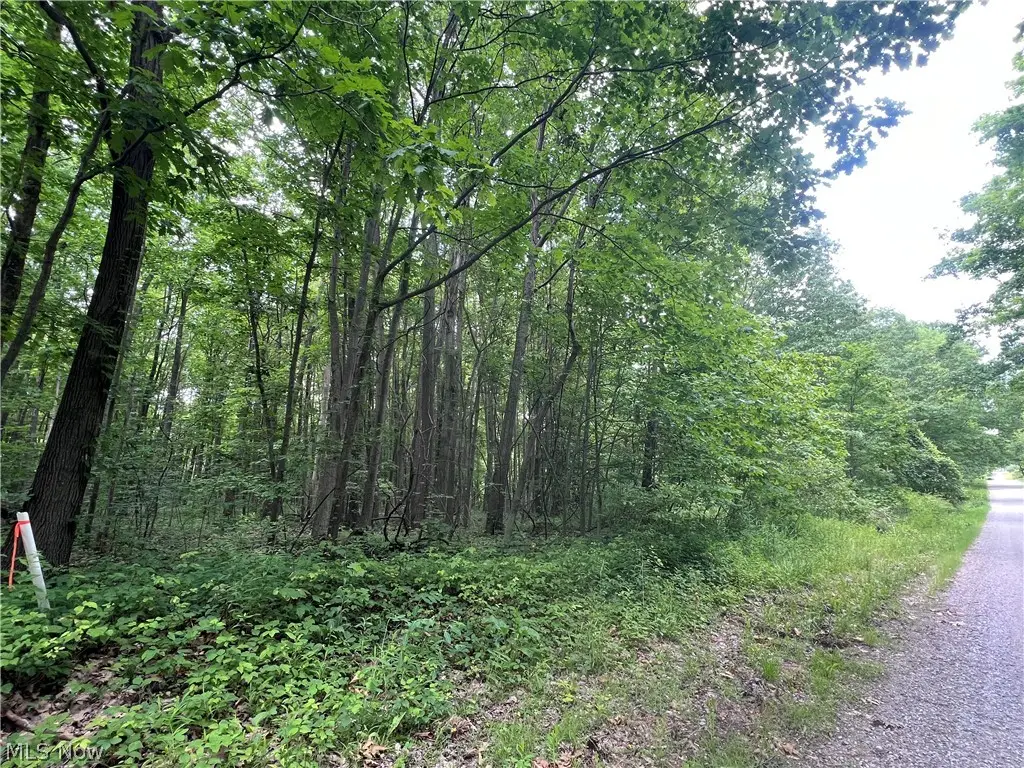 Weaver Road, Conneaut, OH 44030 - #1