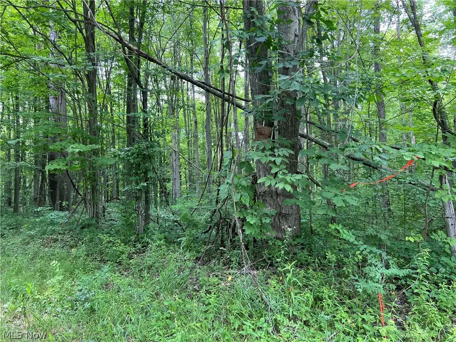Weaver Road, Conneaut, OH 44030 - #2