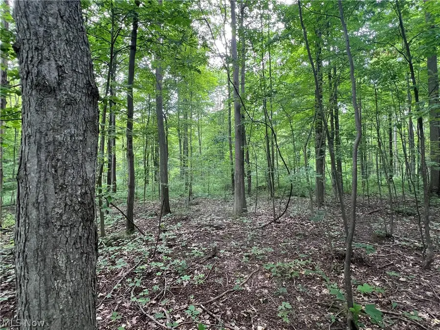 Weaver Road, Conneaut, OH 44030 - #3