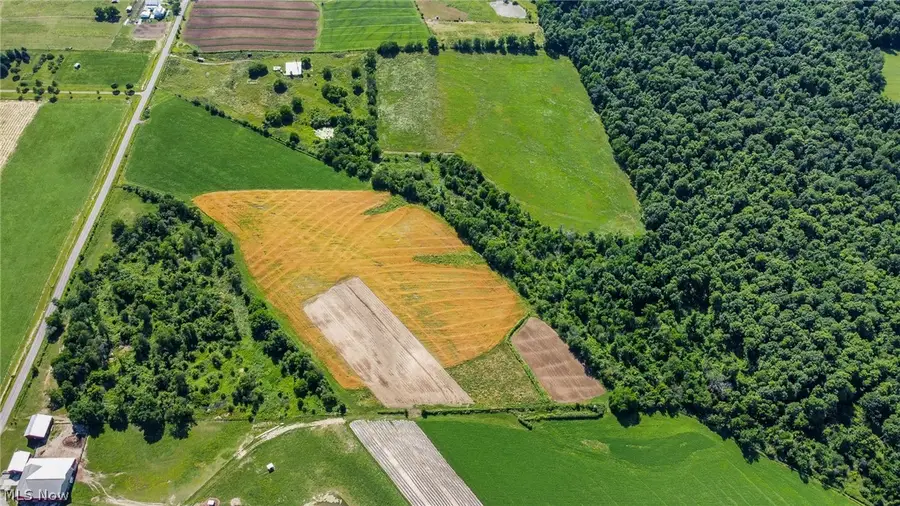 Holshoe Road, Homerville, OH 44235 - #3