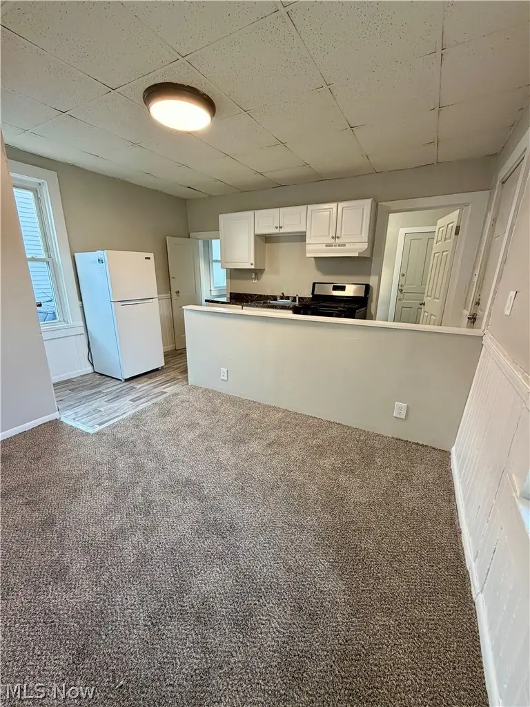 13210 Carrington Avenue, Cleveland, OH 44135 - #3