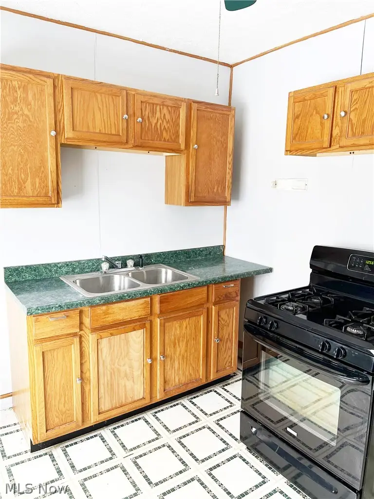 12905 Forest Avenue, Cleveland, OH 44120 - #2
